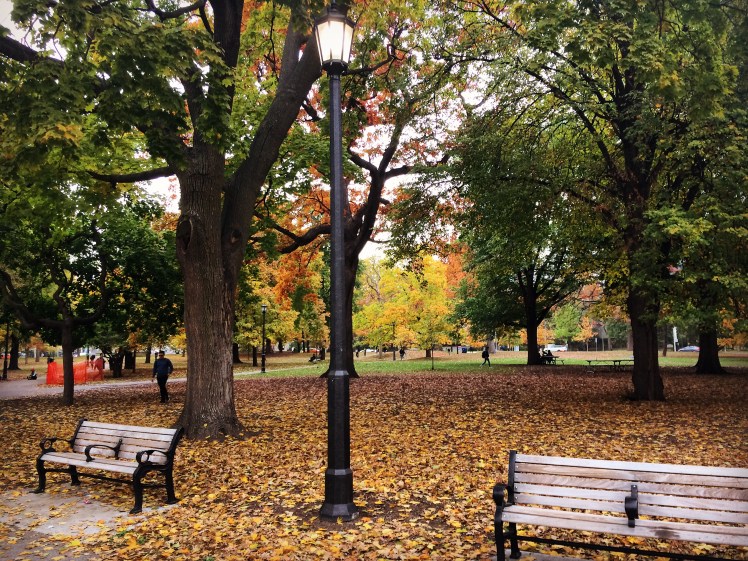 toronto park