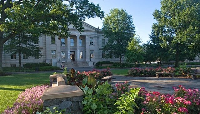 American University